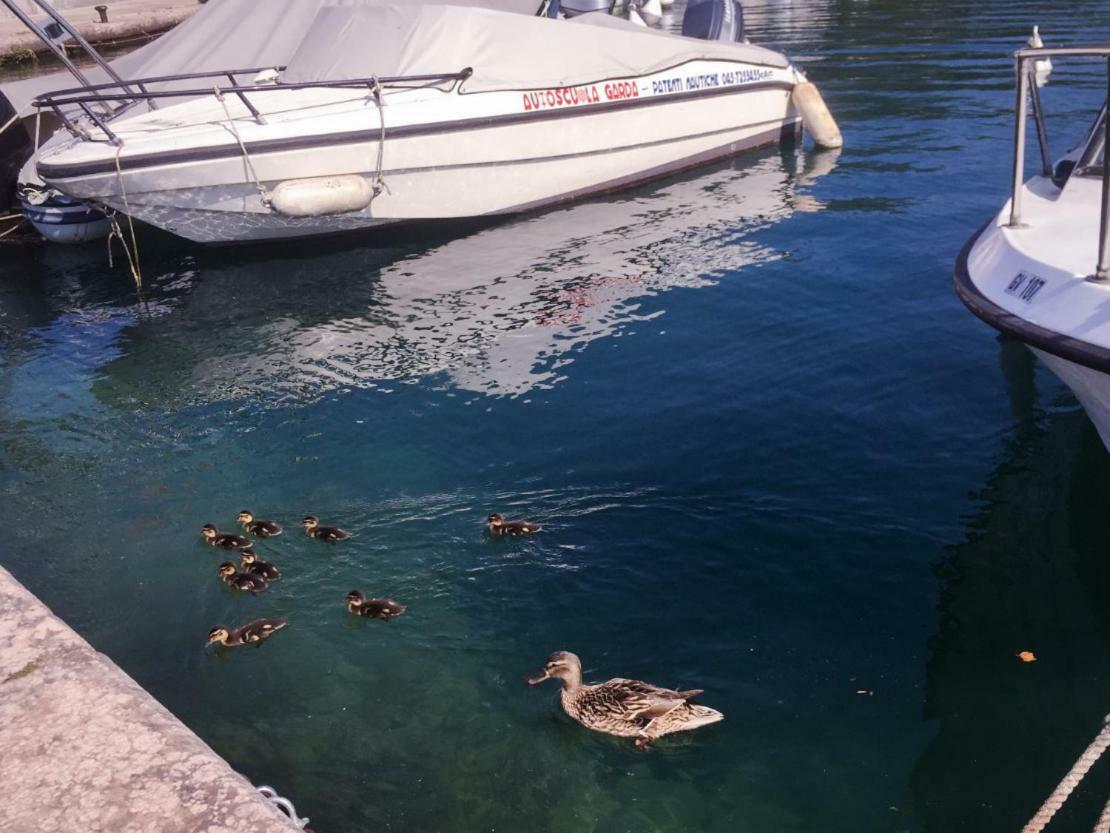 Appartamento Iris Garda  Bagian luar foto